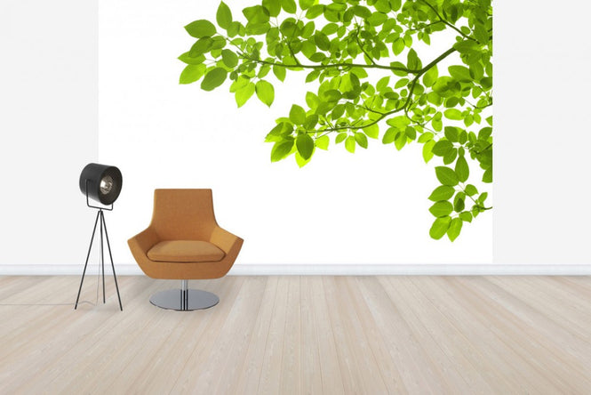 PHOTOWALL / Green Leaves Corner (e40695)