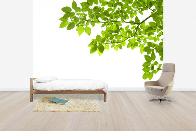 PHOTOWALL / Green Leaves Corner (e40695)