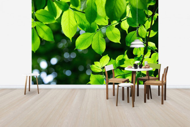 PHOTOWALL / Greenery Leaves Background (e40696)
