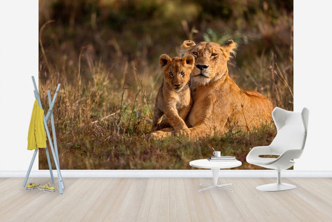 PHOTOWALL / Lion Mother and Cub (e40707)