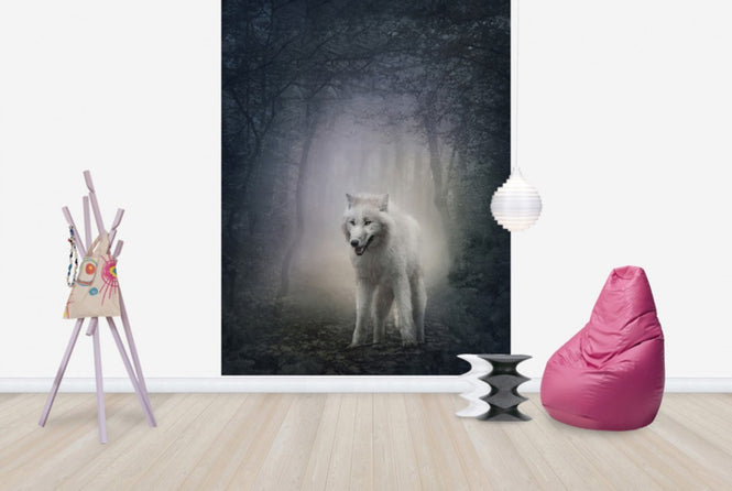 PHOTOWALL / White Wolf in the Night Forest (e40710)