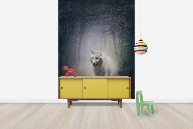 PHOTOWALL / White Wolf in the Night Forest (e40710)