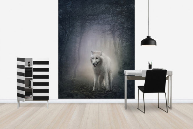 PHOTOWALL / White Wolf in the Night Forest (e40710)