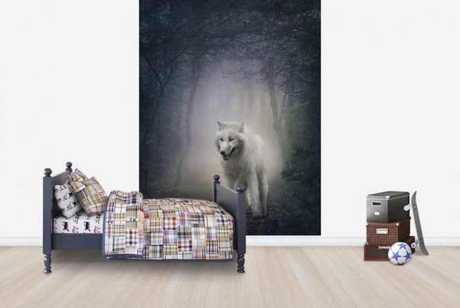 PHOTOWALL / White Wolf in the Night Forest (e40710)