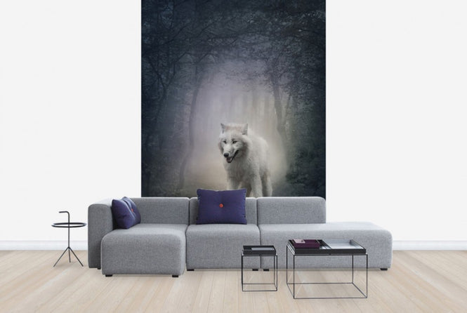 PHOTOWALL / White Wolf in the Night Forest (e40710)
