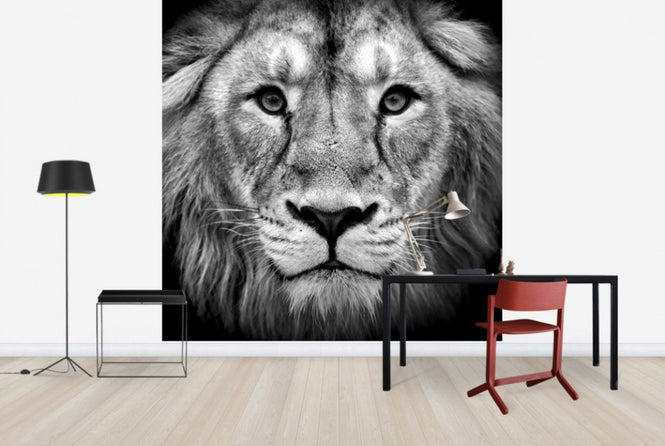 PHOTOWALL / Wise Lion, black and white (e40711)