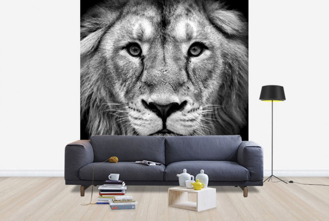 PHOTOWALL / Wise Lion, black and white (e40711)
