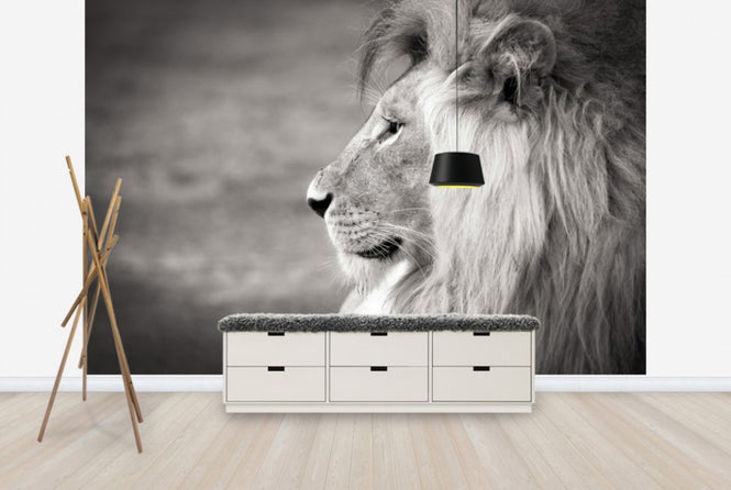 PHOTOWALL / Portrait of a Predator, black and white (e40712)