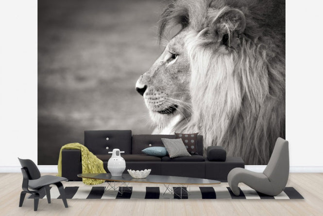 PHOTOWALL / Portrait of a Predator, black and white (e40712)