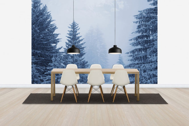PHOTOWALL / Coniferous Forest in Austria, Europe (e40736)