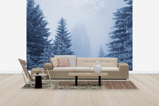 PHOTOWALL / Coniferous Forest in Austria, Europe (e40736)