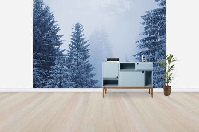 PHOTOWALL / Coniferous Forest in Austria, Europe (e40736)