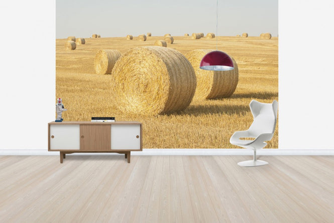 PHOTOWALL / Hay Field in Skurup, Sweden, Europe (e40739)