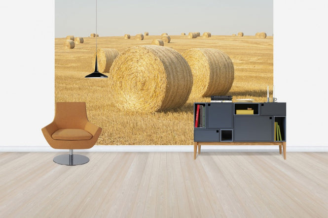 PHOTOWALL / Hay Field in Skurup, Sweden, Europe (e40739)