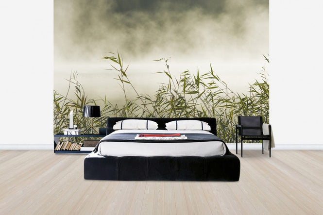 PHOTOWALL / Yngaren in Fog, Sweden (e40753)