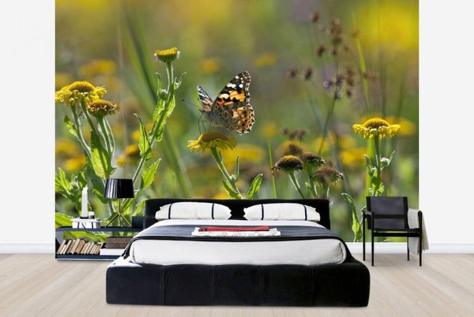 PHOTOWALL / Painted Lady Butterfly (e40851)
