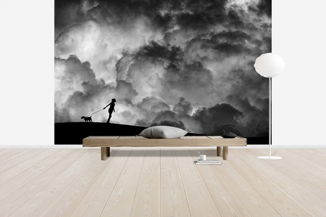 PHOTOWALL / Prelude to the Dream, black and white (e40914)