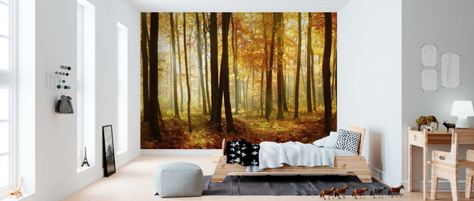 PHOTOWALL / Japanese Forest (e40969)