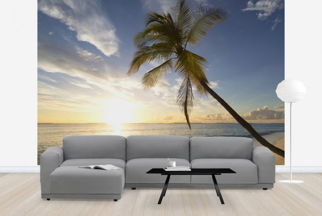 PHOTOWALL / Tropical Sunset (e41042)