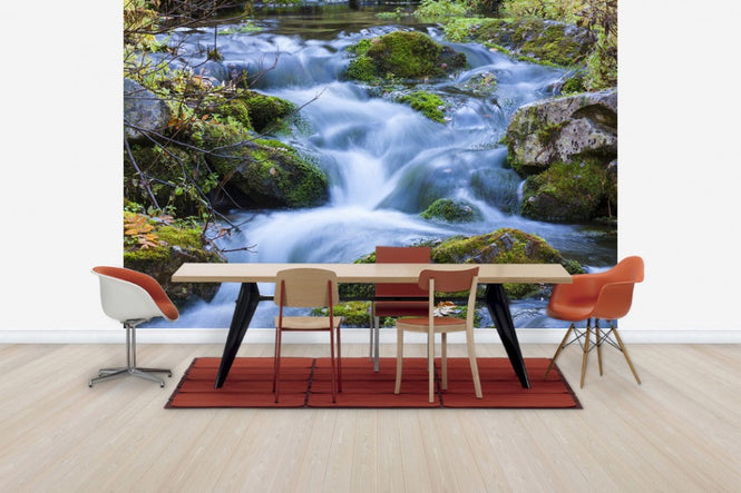 PHOTOWALL / Little Stream (e30773)