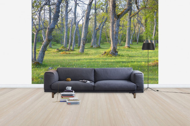 PHOTOWALL / Meadow (e30775)