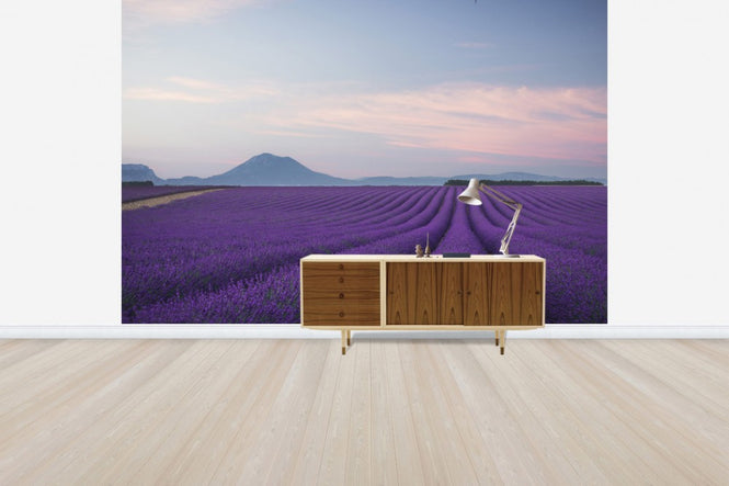 PHOTOWALL / Lavender field (e30983)