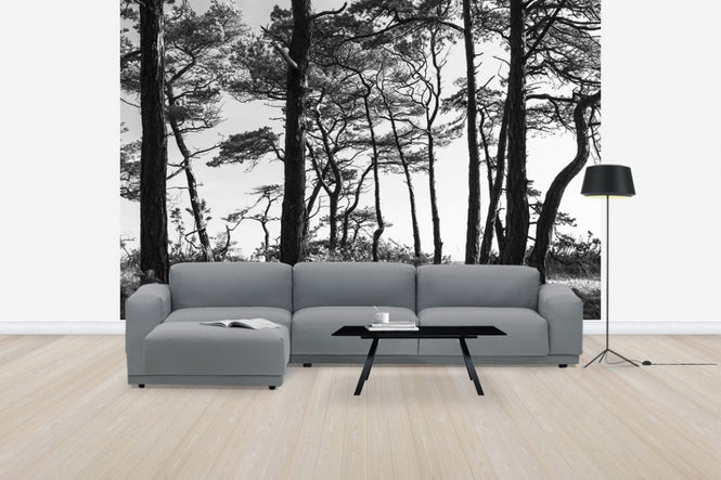 PHOTOWALL / Black Pine Forest, black and white (e41142)