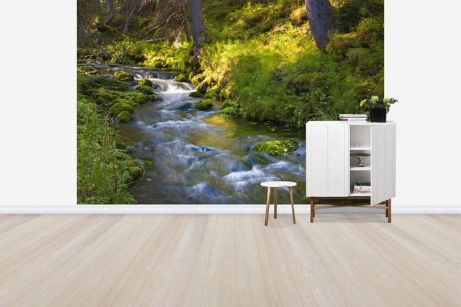 PHOTOWALL / Finnish Forest River (e41145)