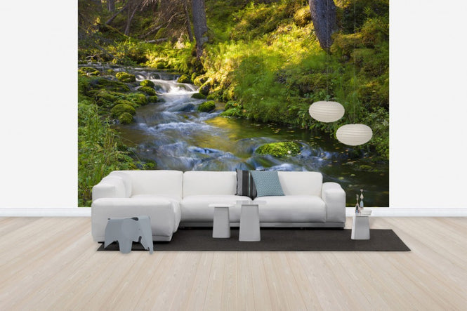 PHOTOWALL / Finnish Forest River (e41145)