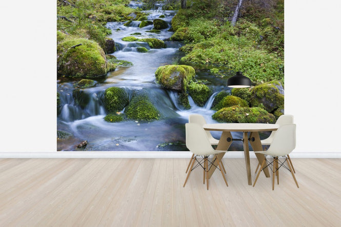 PHOTOWALL / Finnish Stream (e41146)
