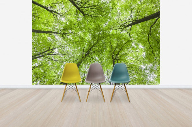 PHOTOWALL / Green Tree Peaks (e41150)