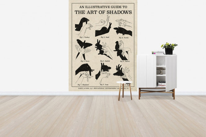 PHOTOWALL / The Art of Shadows (e31050)