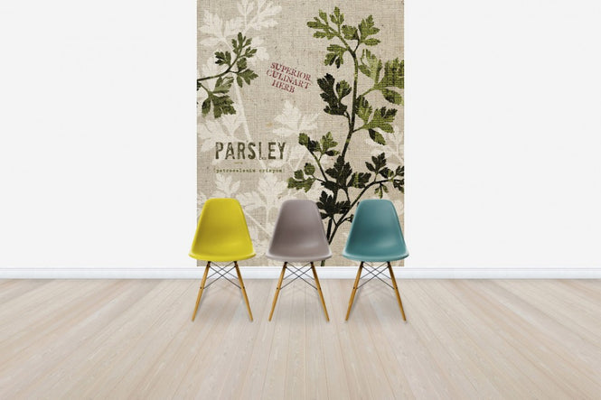 PHOTOWALL / Organic Parsley (e31051)