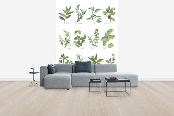 PHOTOWALL / Herb Chart (e31004)
