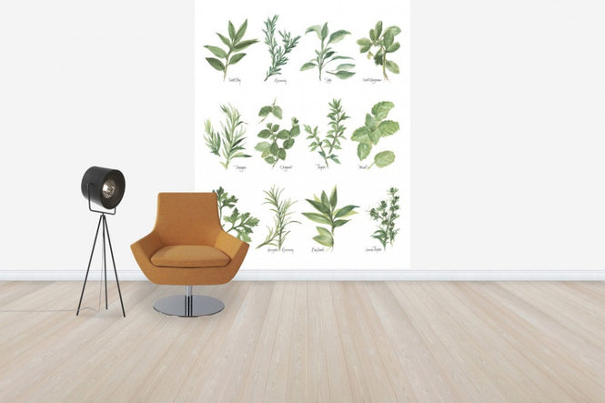 PHOTOWALL / Herb Chart (e31004)