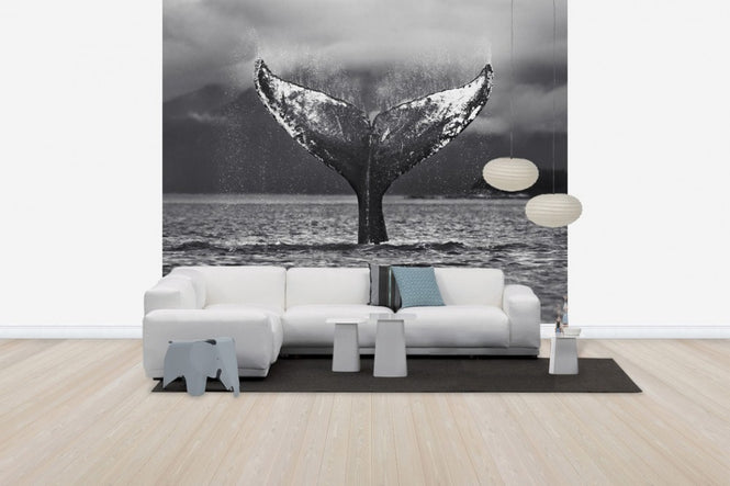 PHOTOWALL / Humpback Whale, Alaska (e31111)