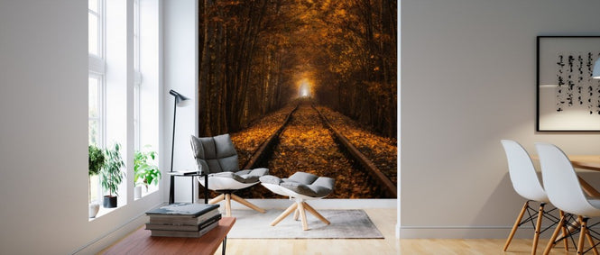PHOTOWALL / Autumn Tunnel (e310011)