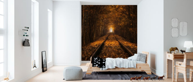 PHOTOWALL / Autumn Tunnel (e310011)