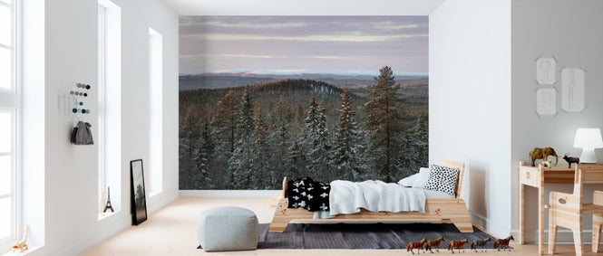 PHOTOWALL / Fulufjallet National Park (e310102)