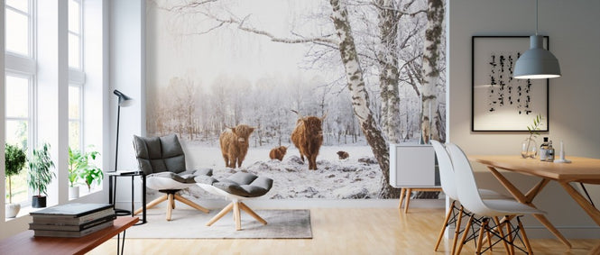 PHOTOWALL / Cattle in Snow (e310107)