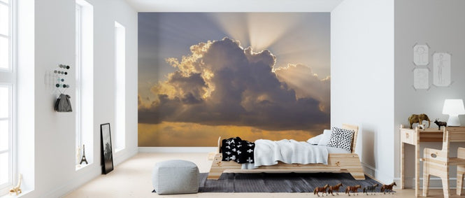 PHOTOWALL / Cloudscape (e310207)