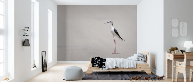 PHOTOWALL / Bird at the Beach (e310213)