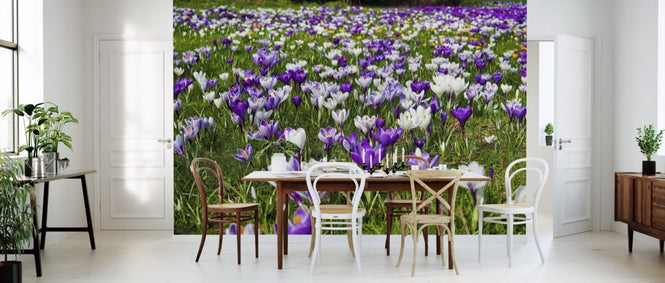 PHOTOWALL / Crocus Flowers (e310253)