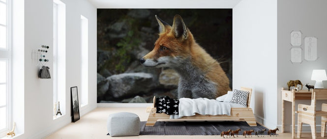 PHOTOWALL / Fox (e310300)