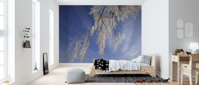 PHOTOWALL / Frozen Branch (e310419)