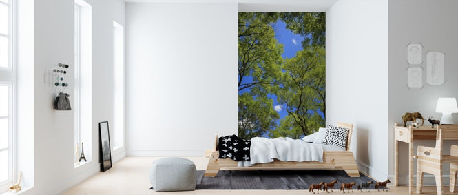 PHOTOWALL / Trees and Sky (e310432)