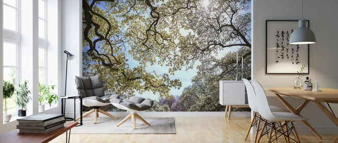 PHOTOWALL / Magnolia Tree (e310511)