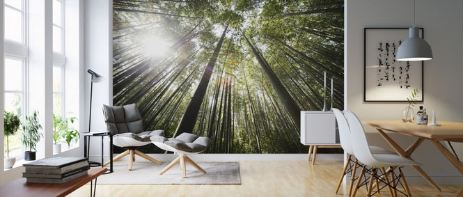 PHOTOWALL / Damyang Bamboo (e310518)