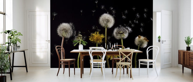 PHOTOWALL / Dandelion (e310520)