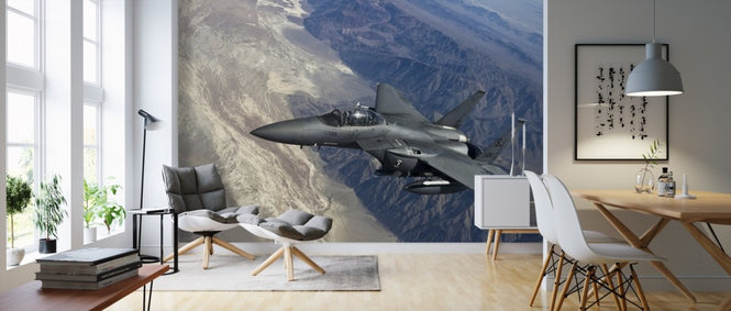 PHOTOWALL / Airborne Fighter Jet (e310522)